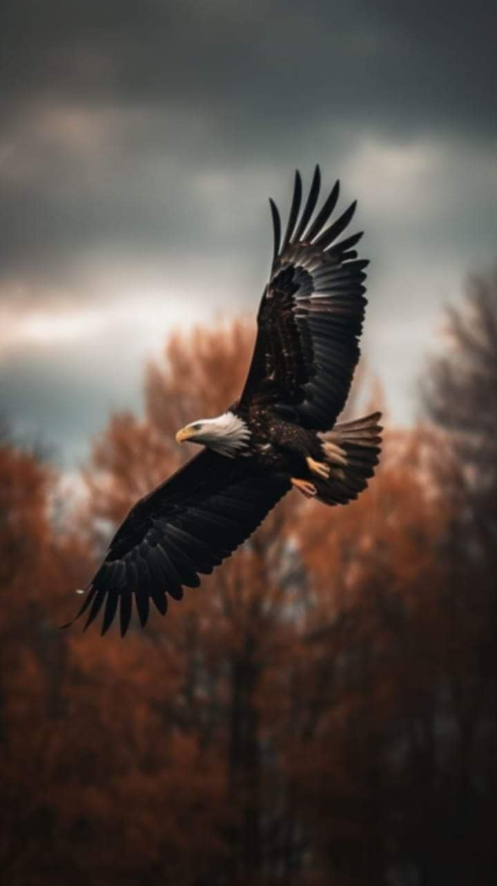 Messenger_creation_EE538259-B30A-4BE4-BF19-EC2A319D4996.jpeg